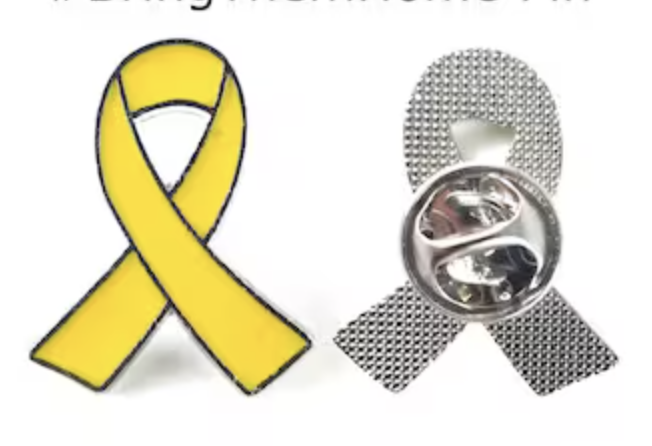 Pin Troquelado