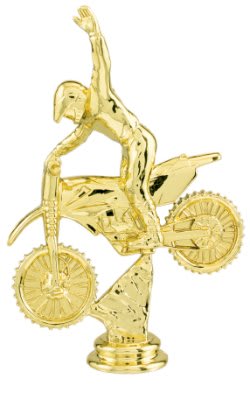 Figura Motocross