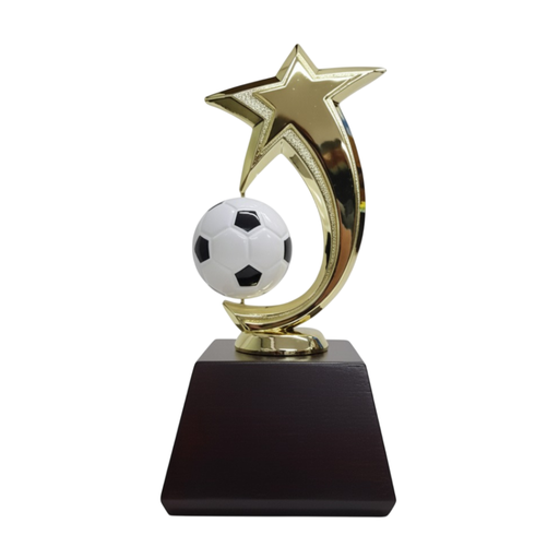 [MT-01] Mini Trofeo 01